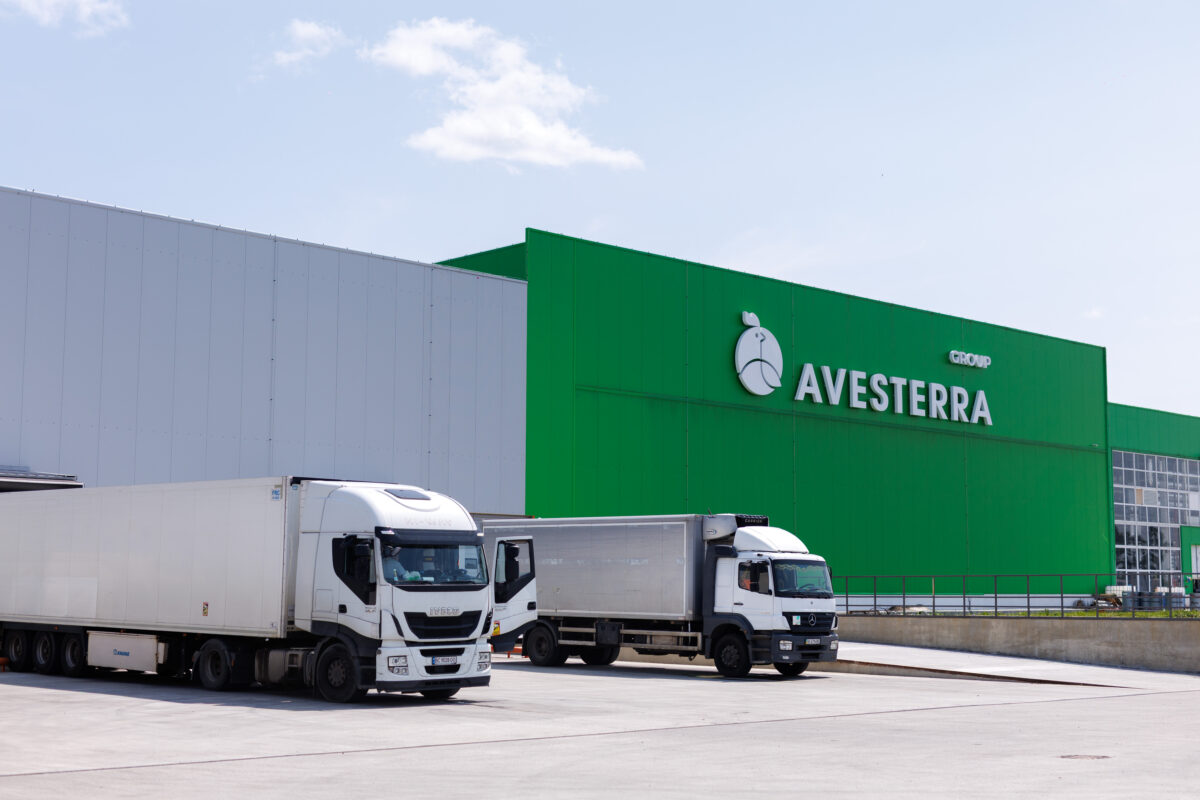 Avesterra Group