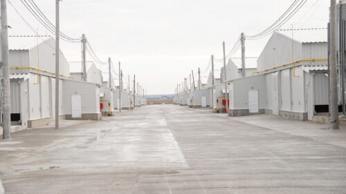 Avesterra Group відкрила 20 нових пташників на Волині: 15 млн євро інвестицій у масштабування виробництва